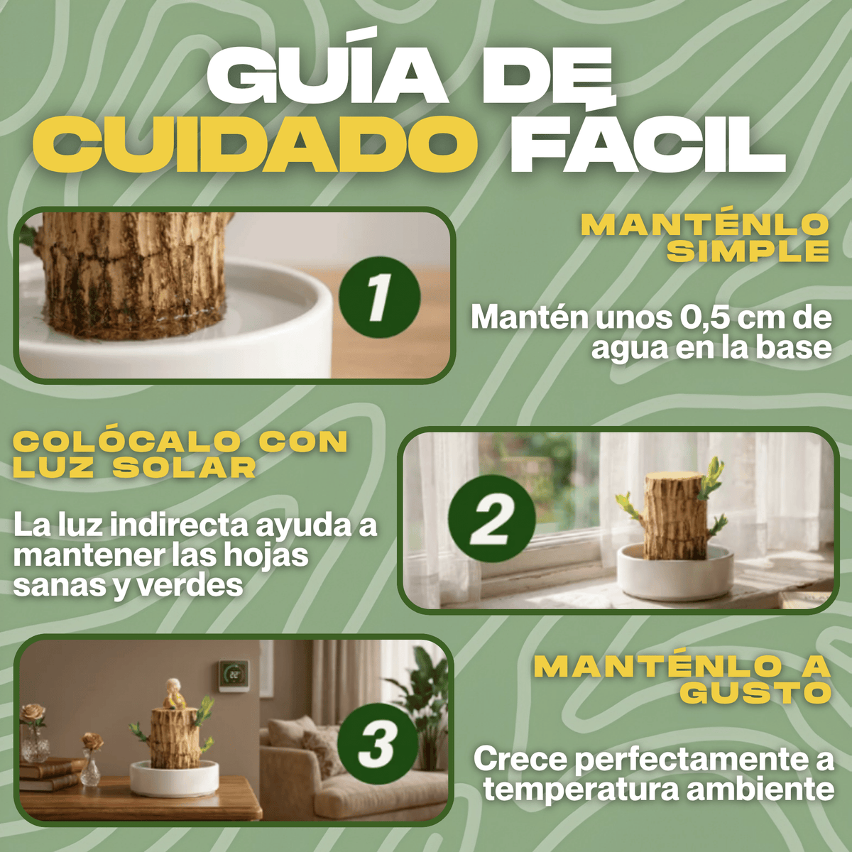 Árbol de la Suerte CharmedWood™