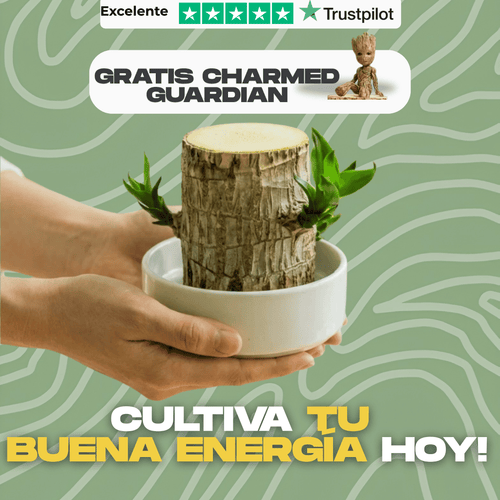 Árbol de la Suerte CharmedWood™