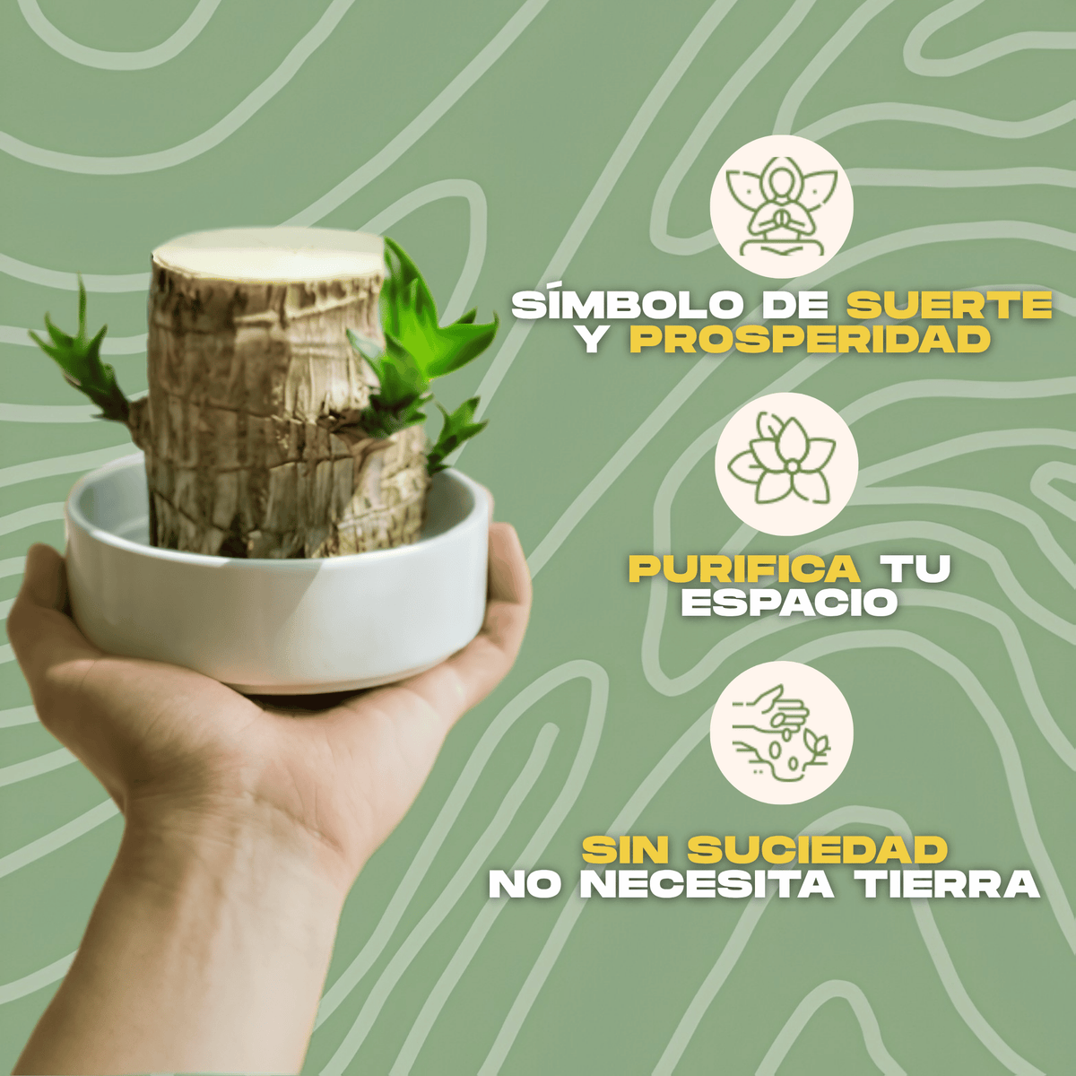 Árbol de la Suerte CharmedWood™