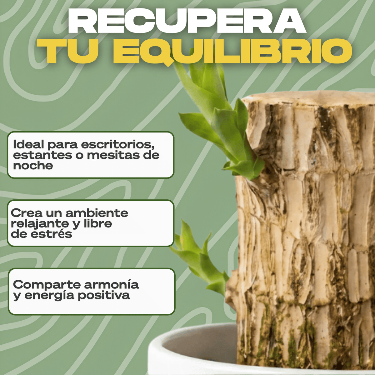 Árbol de la Suerte CharmedWood™